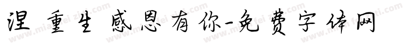 涅槃重生 感恩有你字体转换